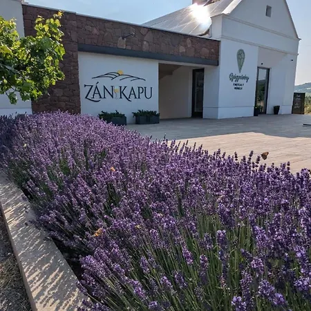 Zankapu -hotel For You- Adult & Bike Friendly 3-room With Local Wine, Terrace & Kali-medence Experience * Zánka