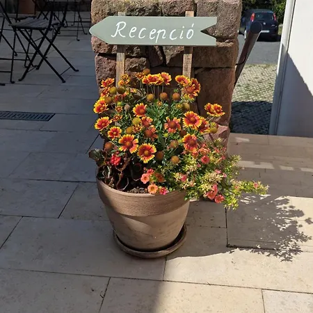 Zankapu -hotel For You- Adult & Bike Friendly 3-room With Local Wine, Terrace & Kali-medence Experience